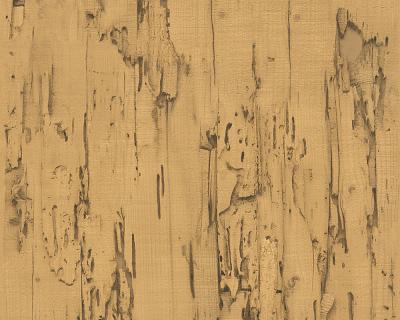 Фото A.S.Creation DECOWORLD 954023