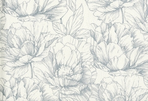 Фото BN International BN Exclusive 18132