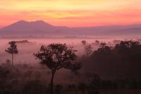 Розовый закат