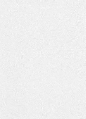 Фото Erismann RollOver 5337-01 (5337-10)