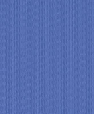 Фото Rasch Chorus Line 2014 469325