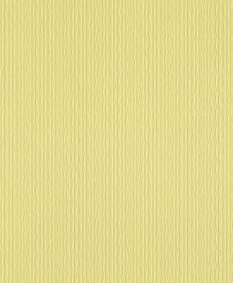 Фото Rasch Chorus Line 2014 469332