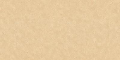 Фото A.S.Creation Speranza 956445