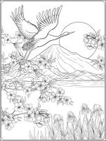 Полет аиста