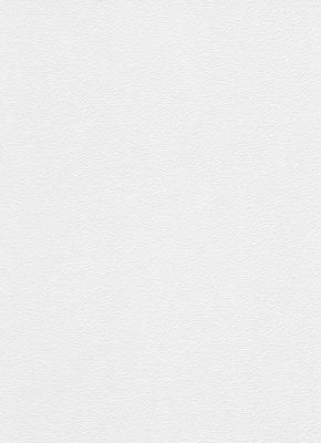 Фото Erismann RollOver 3923-10 (3923-01)