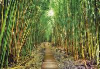 Komar 8-935 (Бамбук, дорога)