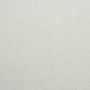 Фото BN International Authentique 45742