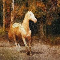 Картина маслом