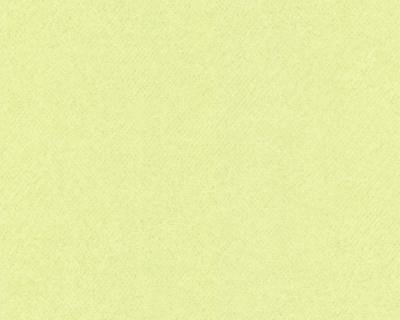 Фото A.S.Creation MV meets XXL 715630