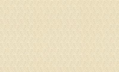 Фото Rasch Maximum XI 926019