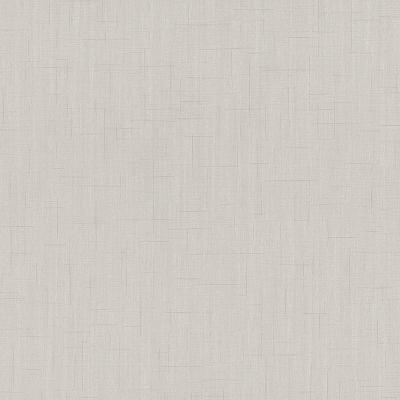 P+S International Spotlight 02460-70