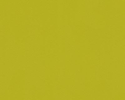 Фото A.S.Creation Meistervlies 5 3091-74