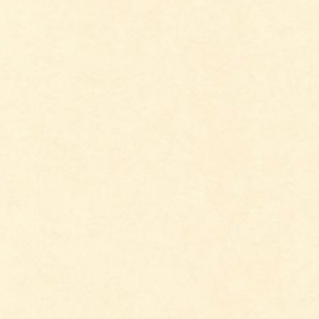 Фото Sandudd Hopealehti 4879-4