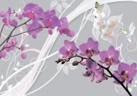 Цветочная феерия