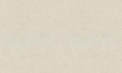 Фото Erismann Fashion for Walls 5 12262-02