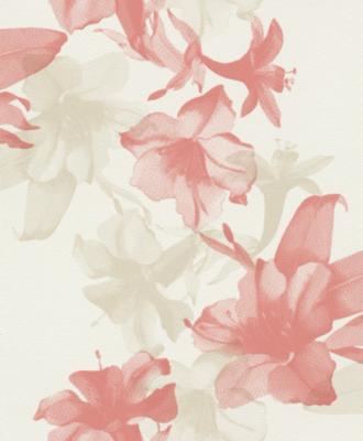 Rasch Unsere Besten 2014 410600