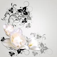 Черно-белые цветы