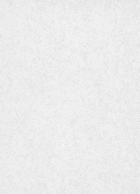 Фото Erismann RollOver Deco 3 5319-10