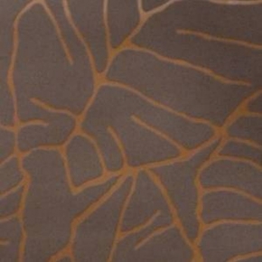 Фото BN International Diva 43702