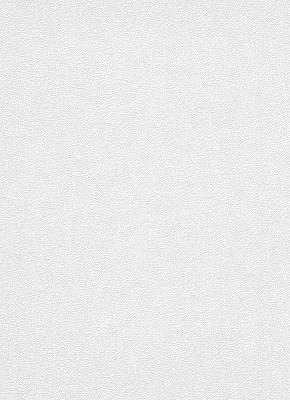 Фото Erismann Robusto Vol.2 3917-01