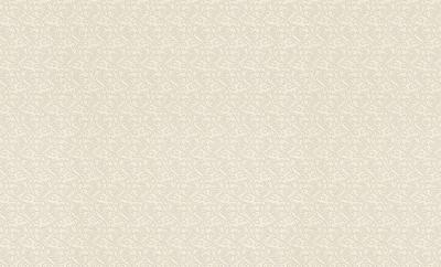 Фото Rasch Maximum XI 926033