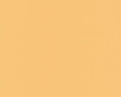 Фото A.S.Creation Spot 230911