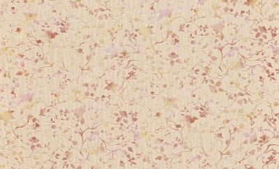 Фото Rasch Maximum XI 926323