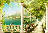 Голуби на балконе