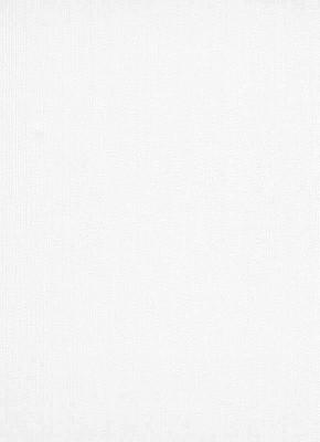 Фото Erismann Robusto Vol.2 3902-01