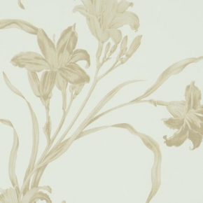 Фото BN International Caravaggio 46843