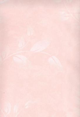 Фото Sandudd Tupla Rolleri 20010