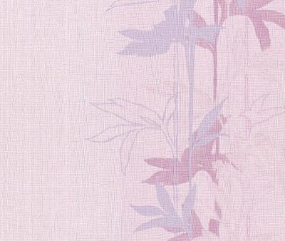 Фото Rasch Intuicion 2011 733686