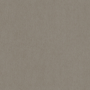 Фото BN International Bont 46889