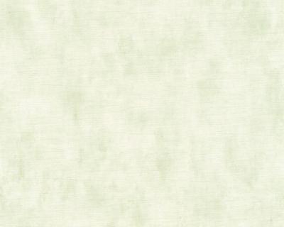 Фото A.S.Creation Djooz 2 35879-6