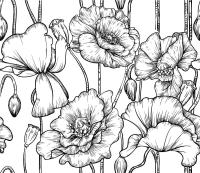 Черно-белый эскиз