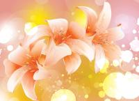 Лилии на оранжевом фоне