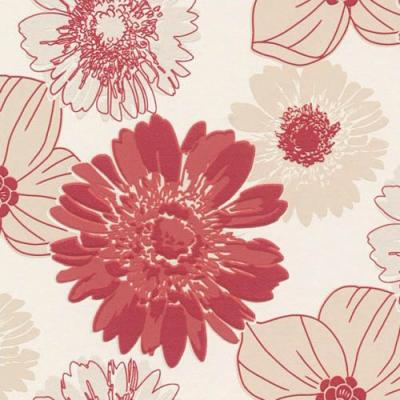 Фото Rasch Queens 2013 795257