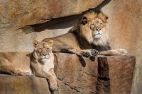 Моладая пара