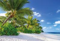 Komar 8-992 (Reunion)