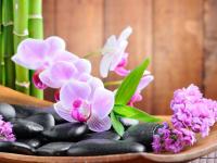 Камушки и орхидея