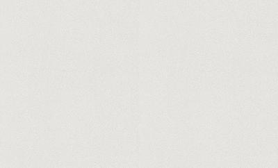 Rasch Wallton 2021 144017 (144000)