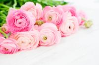 Букет розовых роз