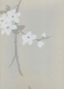 Фото Sandudd Rolleri 5 4862-5