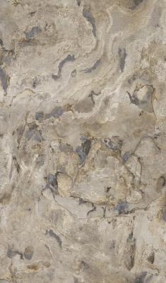 Фото Rasch Black Forest 2016 514612