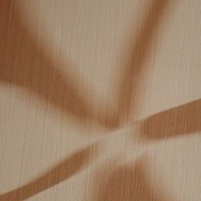 Фото BN International Silhouets 43236