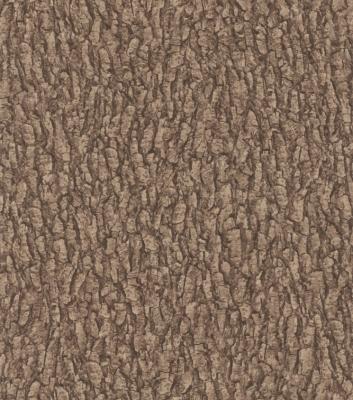 Фото Rasch Black Forest 2016 514230