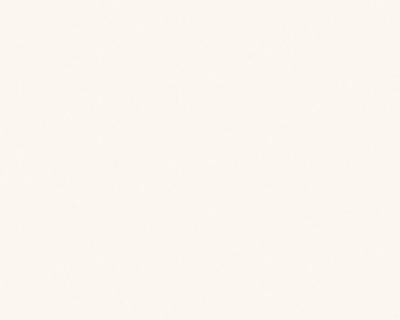 Фото A.S.Creation Maistervlies 2020 35063-1