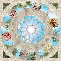 Вверх к солнцу