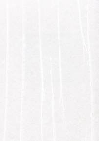 Фото Marburg Crush Gala 61851