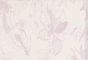 Фото BN International BN Exclusive 18104